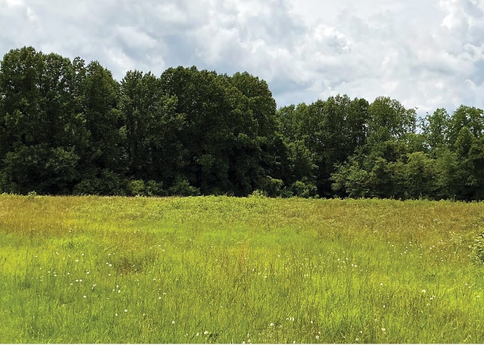 70 Patsy Street, Benson, North Carolina, ,Land,For Sale,70 Patsy Street,1071
